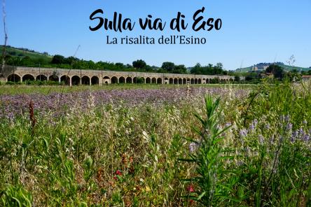 Sulla via di Eso - Strade d'acqua