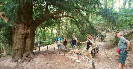 Anello di Fonte Avellana