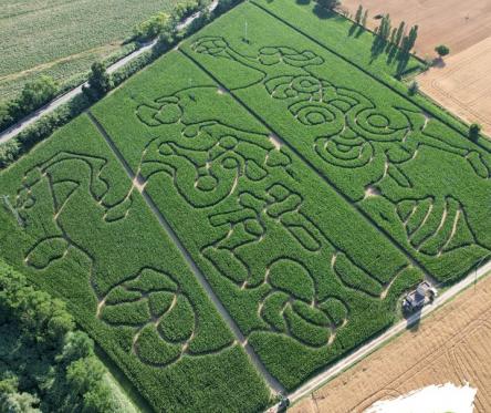 Il tramonto al Misa e poi a perdersi nel Labirinto di Mais