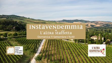 INSTAVENDEMMIA