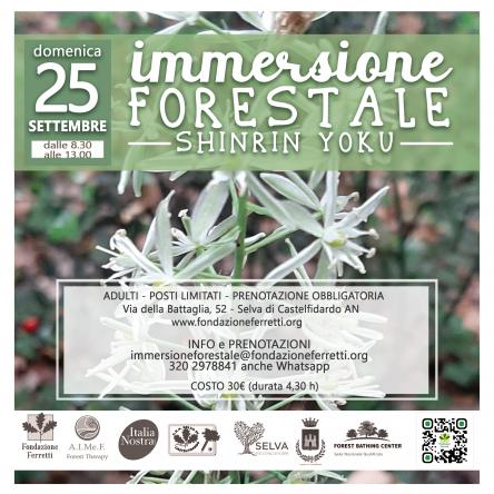 IMMERSIONE FORESTALE