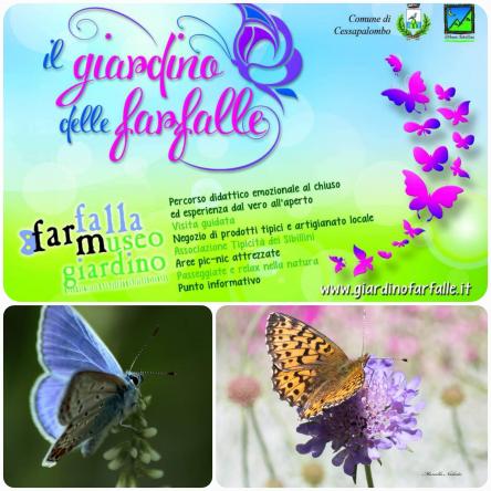 Healthy Walk-la Rivincita delle Farfalle