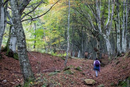 Elcito e il foliage di Canfaito