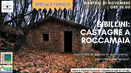 Sibillini: castagne a Roccamaia