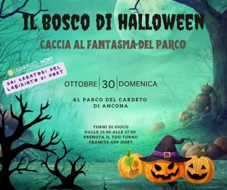 Il Bosco di Halloween