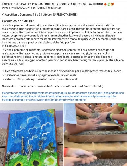 SCOPRIRE I COLORI D'AUTUNNO E LABORATORI DIDATTICI PER BAMBINI