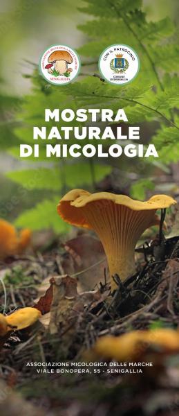 Mostra Naturale di Micologia