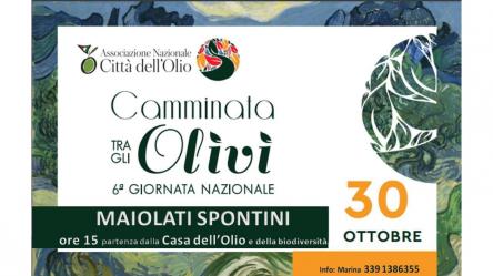 Camminata tra gli Olivi