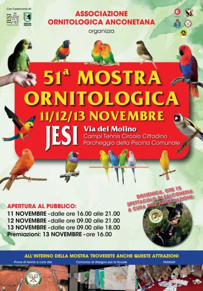 51 MOSTRA ORNITOLOGICA ANCONETANA