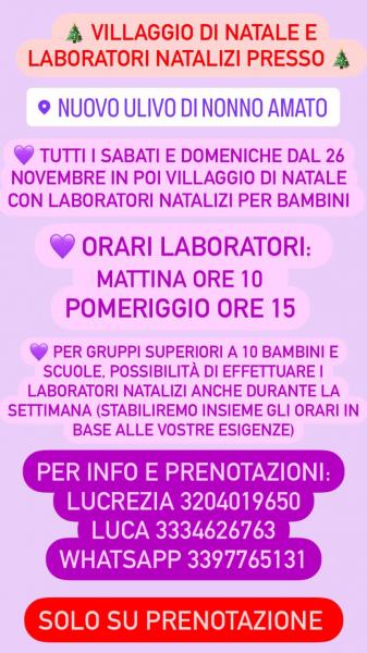 VILLAGGIO DI NATALE AL LAVANDETO DI MORROVALLE