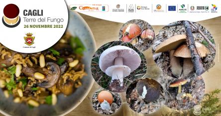 Il Grand Tour delle Marche fa tappa nelle Alte Marche con “Cagli, Terre del fungo”