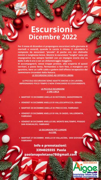 Anello di Rotondo - Sassoferrtao -