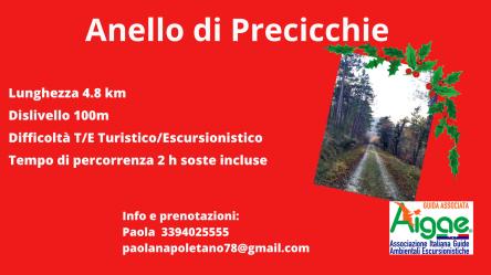 Anello di Precicchie