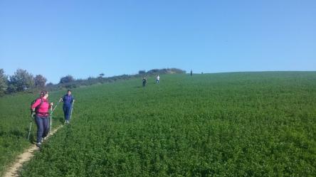 TrenoTrekking: la traversata del San Bartolo