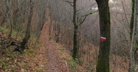 Il sentiero delle ammoniti