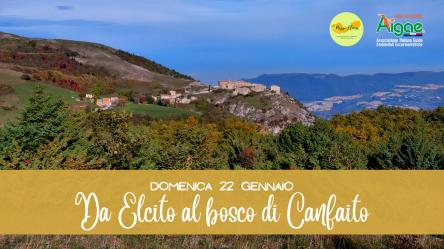 Da Elcito al bosco di Canfaito
