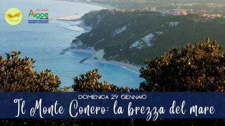Il Monte Conero: la brezza del mare