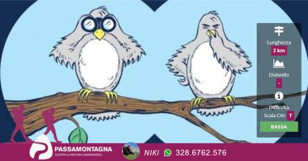 Gli uccelli svernanti del Parco San Bartolo