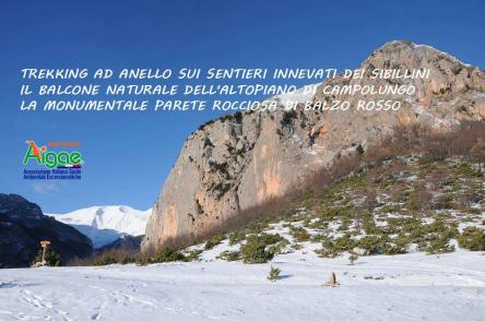 Sibillini: ciaspolata da Vallecaprina all'altopiano di Campolungo