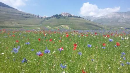 Il Grande Anello dei Sibillini da Fiastra a Castelluccio