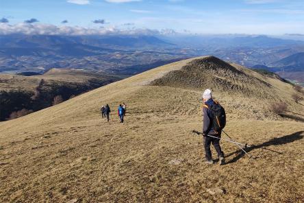 Wild Monte Val di Fibbia