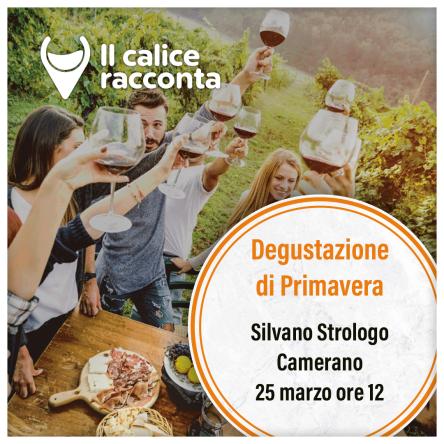 Pranzo e visita alla Cantina Silvano Strologo di Camerano
