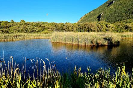 Baia di Portonovo e pic nic finale