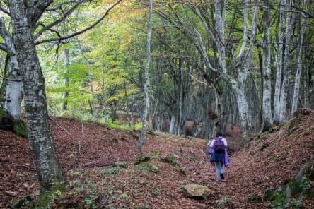 Canfaito e il suo foliage
