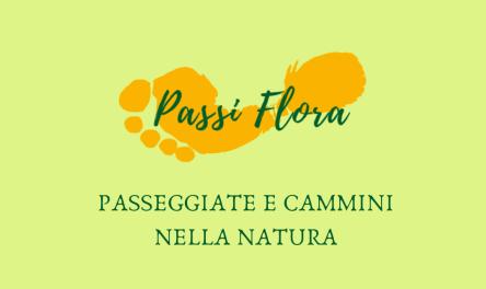 La cascata incantata: 