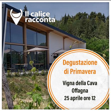 Degustazione Vigna della Cava Offagna