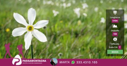 Escursione sonora a Ragnolo