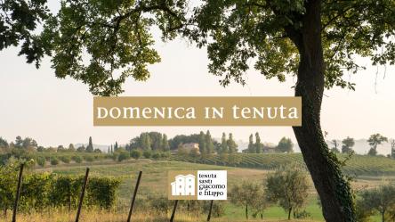 Domenica in Tenuta