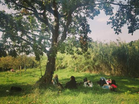 Ancona: il cammino della porta d'oriente