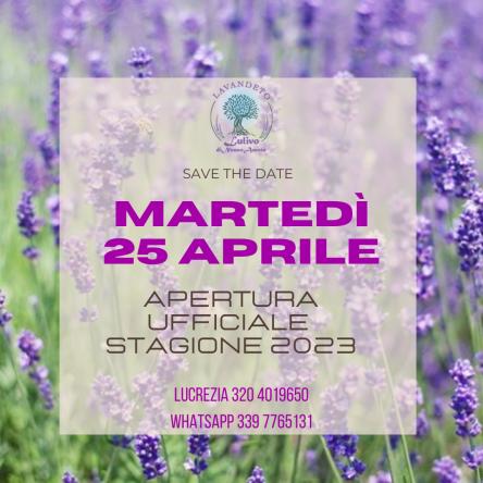 FESTA DI APERTURA LAVANDETO