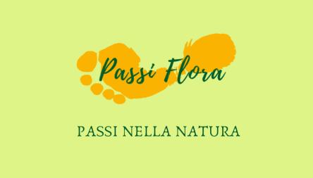 La cascata incantata: 