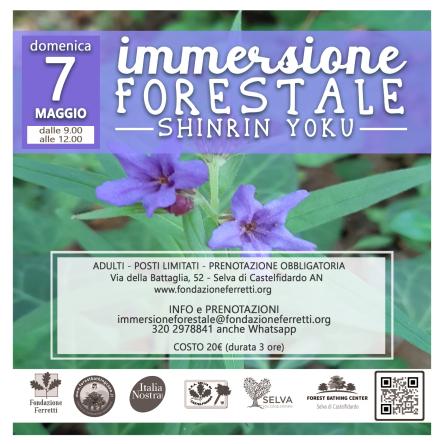 IMMERSIONE FORESTALE - 7 maggio 2023