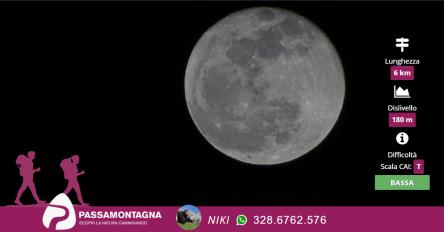 San Bartolo: luna piena dal mare
