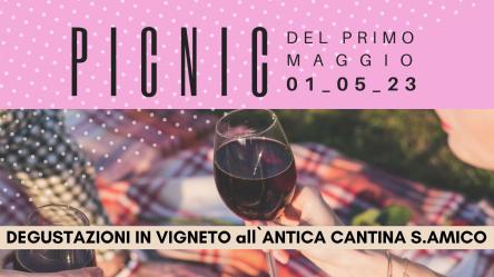 PICNIC del Primo Maggio in vigneto o cantina storica