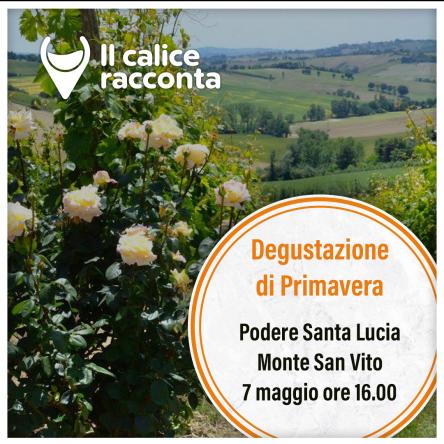 Degustazione nella cantina Podere Santa Lucia