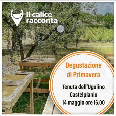 Visita degustazione Tenuta dell'Ugolino