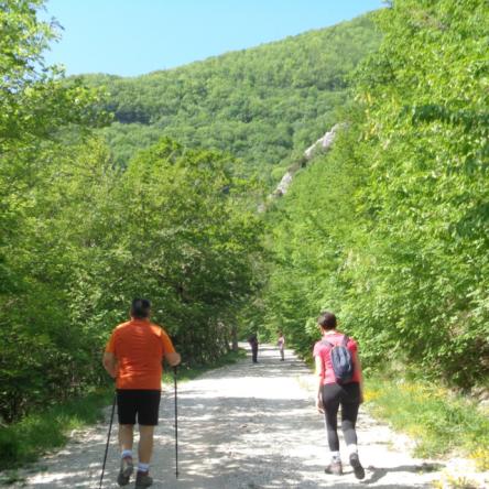 Nei boschi di Fonte Avellana