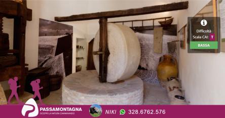 Visita al Museo della Mezzadria