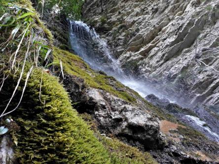 Dalle Sorgenti del Nera alla Cascata del Pisciatore