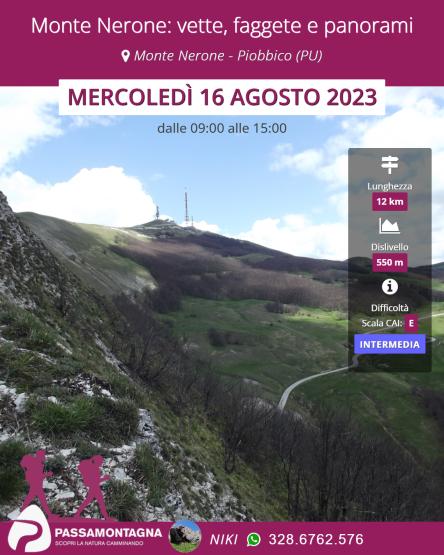 Monte Nerone: vette, faggete e panorami