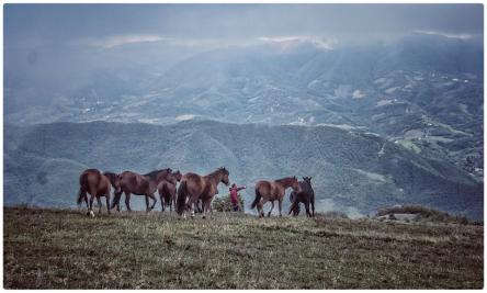 A Cantiano si festeggia il Cavallo!