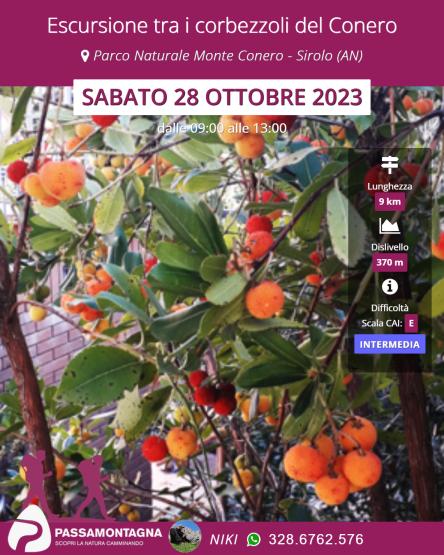 Escursione tra i corbezzoli del Conero