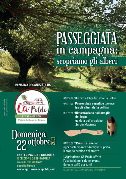 Passeggiata fra gli alberi della campagna