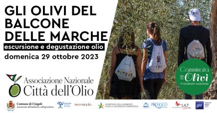 Gli olivi del Balcone delle Marche - Escursione gratuita