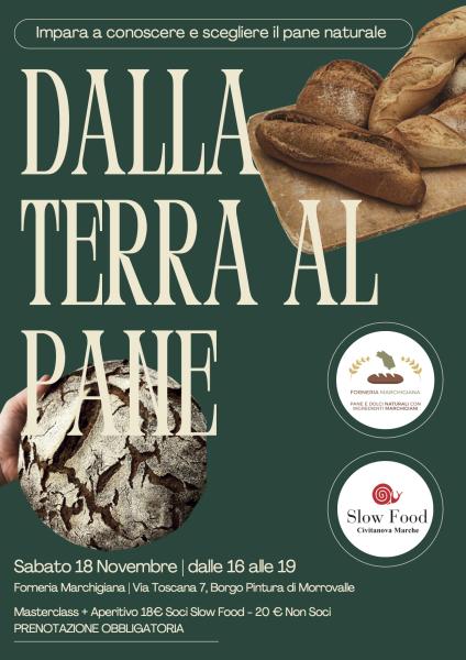Dalla terra al pane: viaggio nella panificazione artigianale naturale