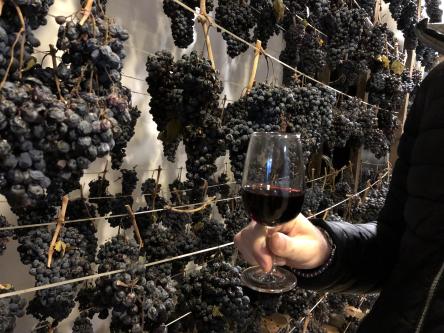 Appassimenti Aperti, nel segno della Vernaccia!